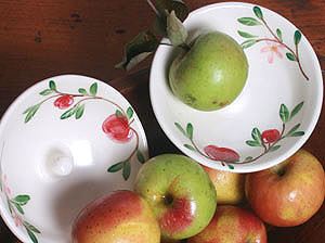 Curious Apple Names