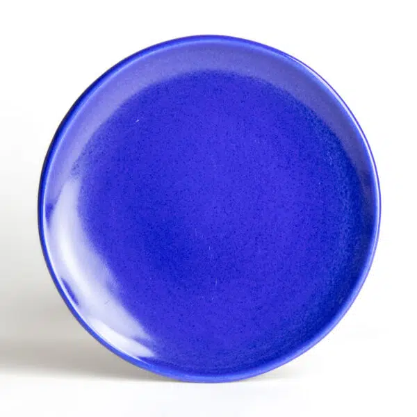 Coupe Dinner Plates — American Blue