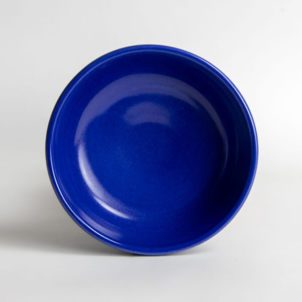 Coupe Soup Bowls — American Blue