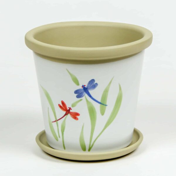 Flower Pots — Dragonfly