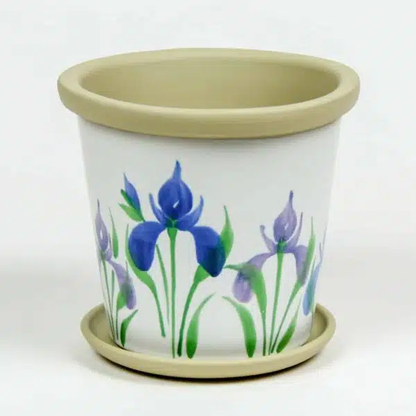 Flower Pots — Field of Iris