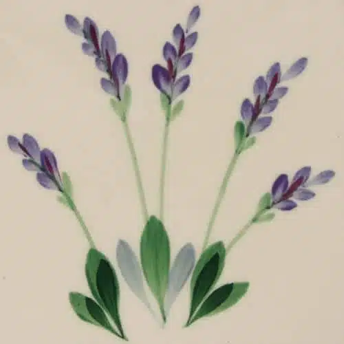 Lavender